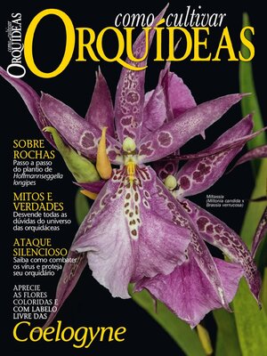 Como Cultivar Orquídeas - Magazine